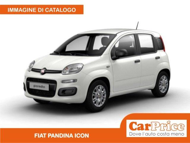 FIAT Pandina 1.0 FireFly 65CV Hybrid Icon (5 Posti)