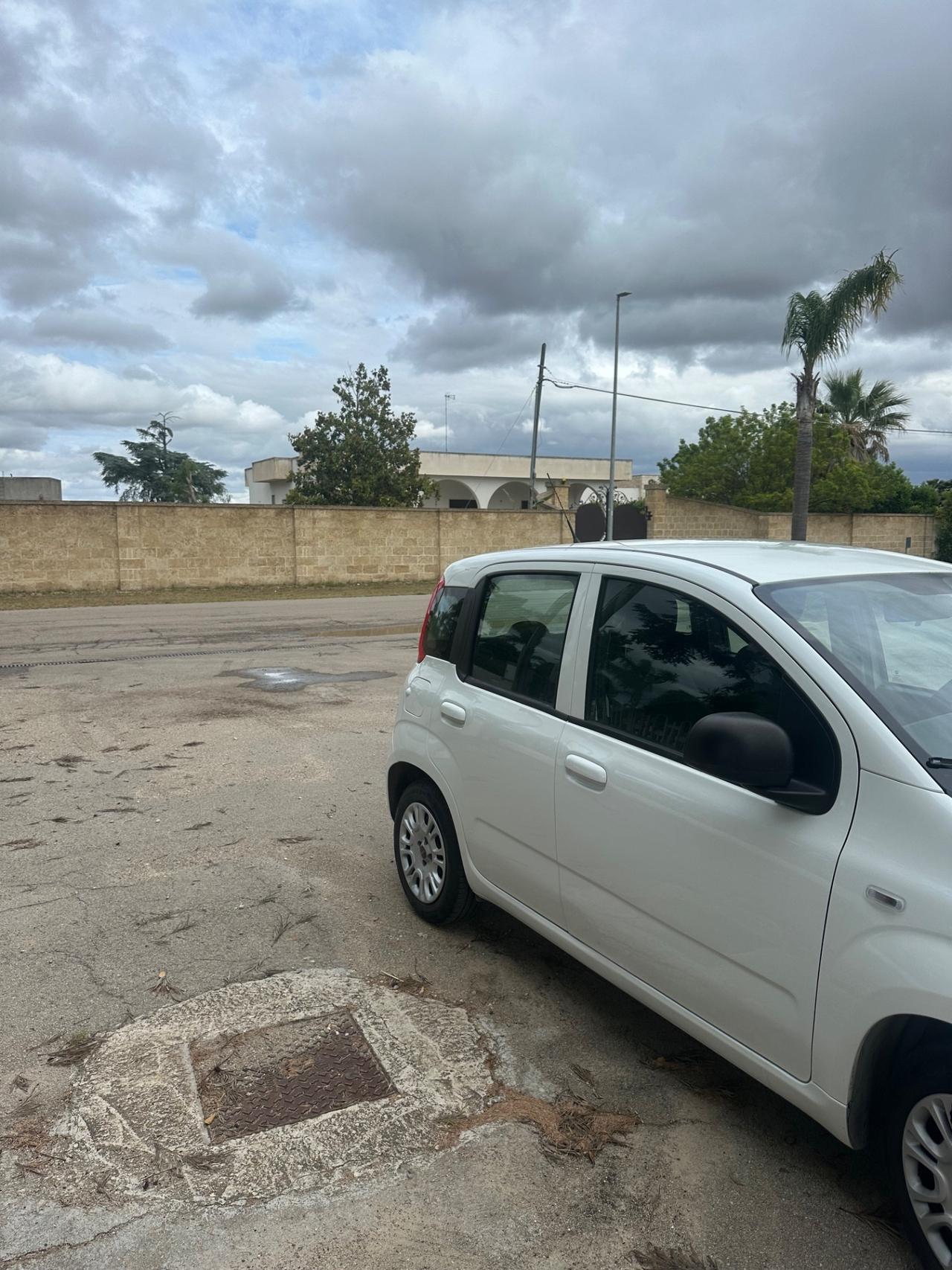 Fiat Panda 1.2 EasyPower Easy