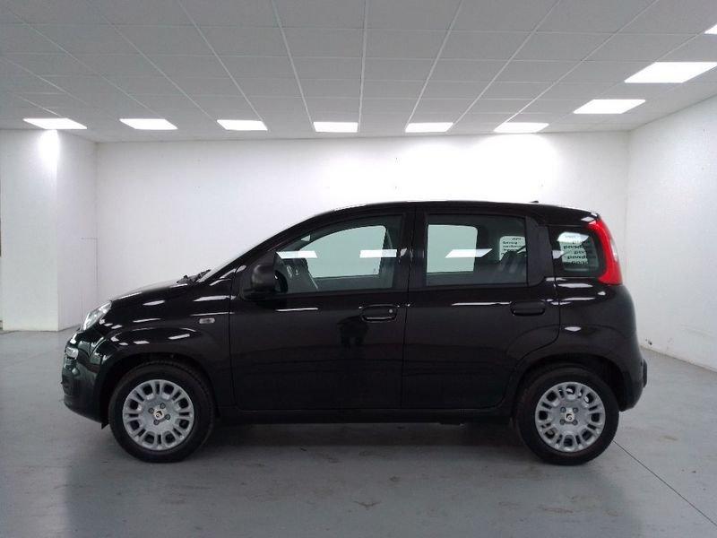 FIAT Pandina 1.0 firefly hybrid Icon s e s 70cv 5p.ti