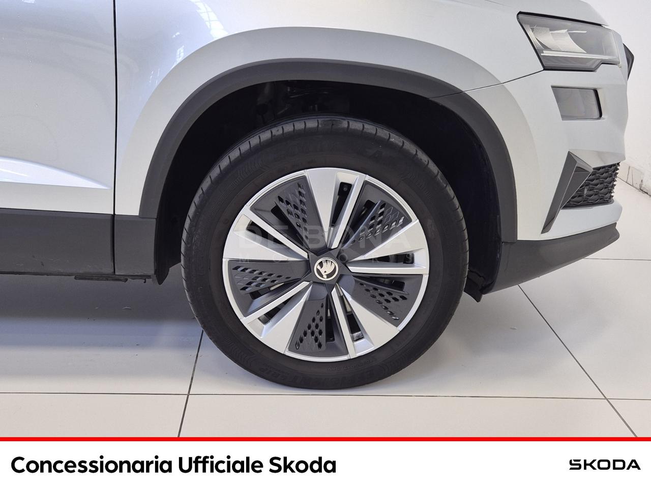 Skoda Karoq 2.0 tdi evo executive 115cv dsg