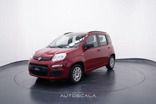 FIAT Panda 1.2 69cv Easy