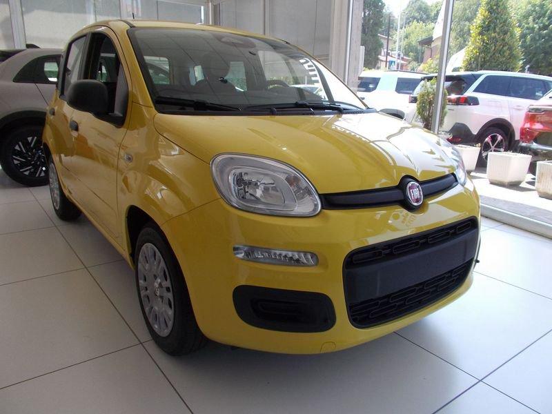 FIAT Pandina Pandina 1.0 FireFly 65 CV Hybrid Pop 338.7575187 MASSARI MARCO