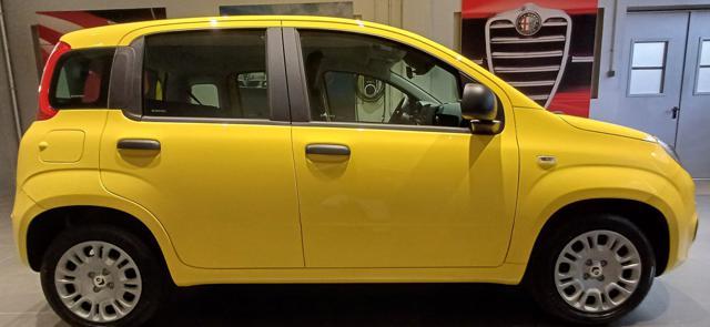 FIAT Panda 1.0 FireFly S&S Hybrid ICON