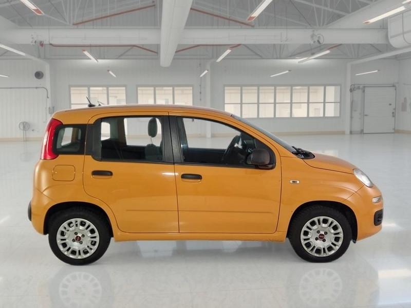 FIAT PANDA 1.2 69cv S/S E6d-Temp Easy 5 PORTE