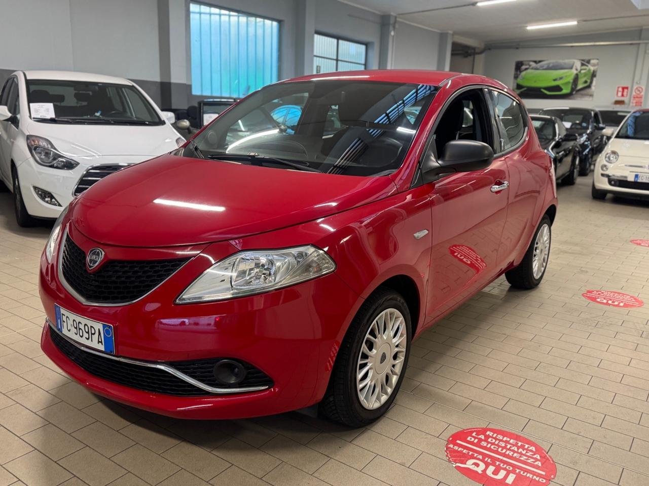 Lancia Ypsilon 1.2 69 CV 5 PREZZO REALE