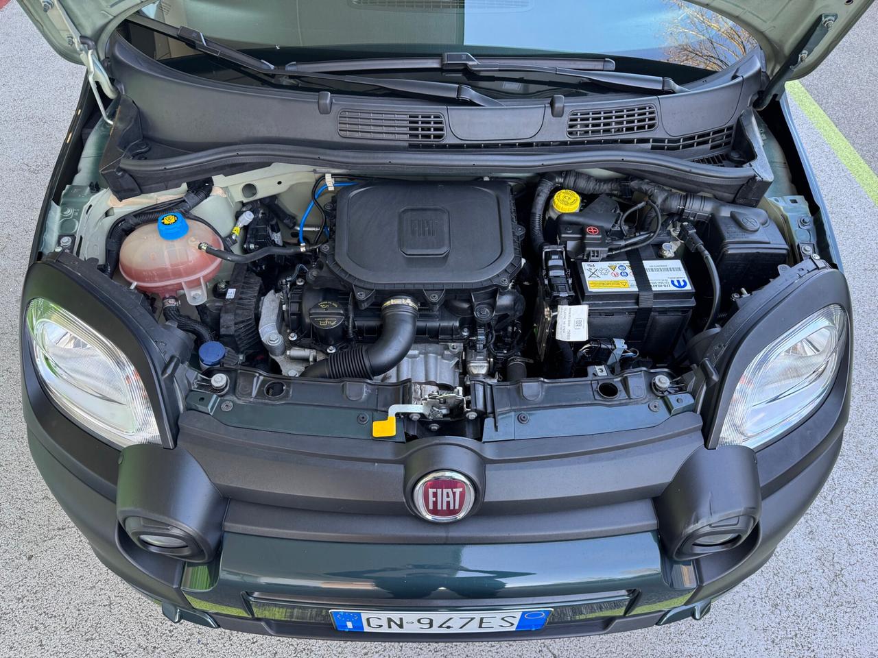 Fiat Panda Cross 1.0 firefly 5P GARANZIA 36 MESI