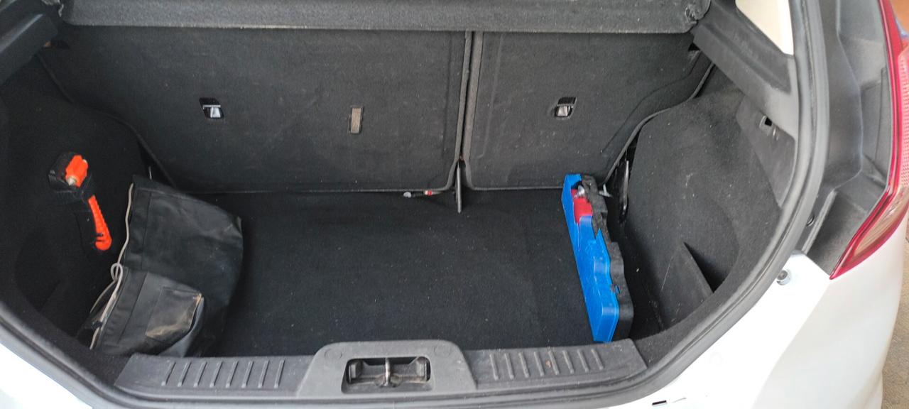 Ford Fiesta 1.5 TDCi 75CV 5 porte Black & White Edition