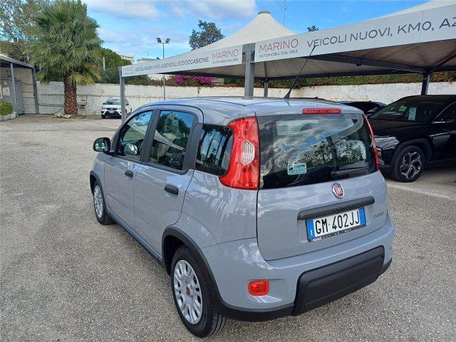 FIAT Panda 3ª serie 1.0 FireFly S&S Hybrid City Life