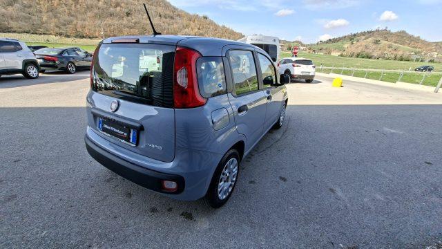 FIAT Panda 1.0 FireFly Hybrid City Life LEGGE 104 IVA ESPOSTA