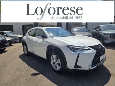 LEXUS UX Full Electric UX Hybrid Business