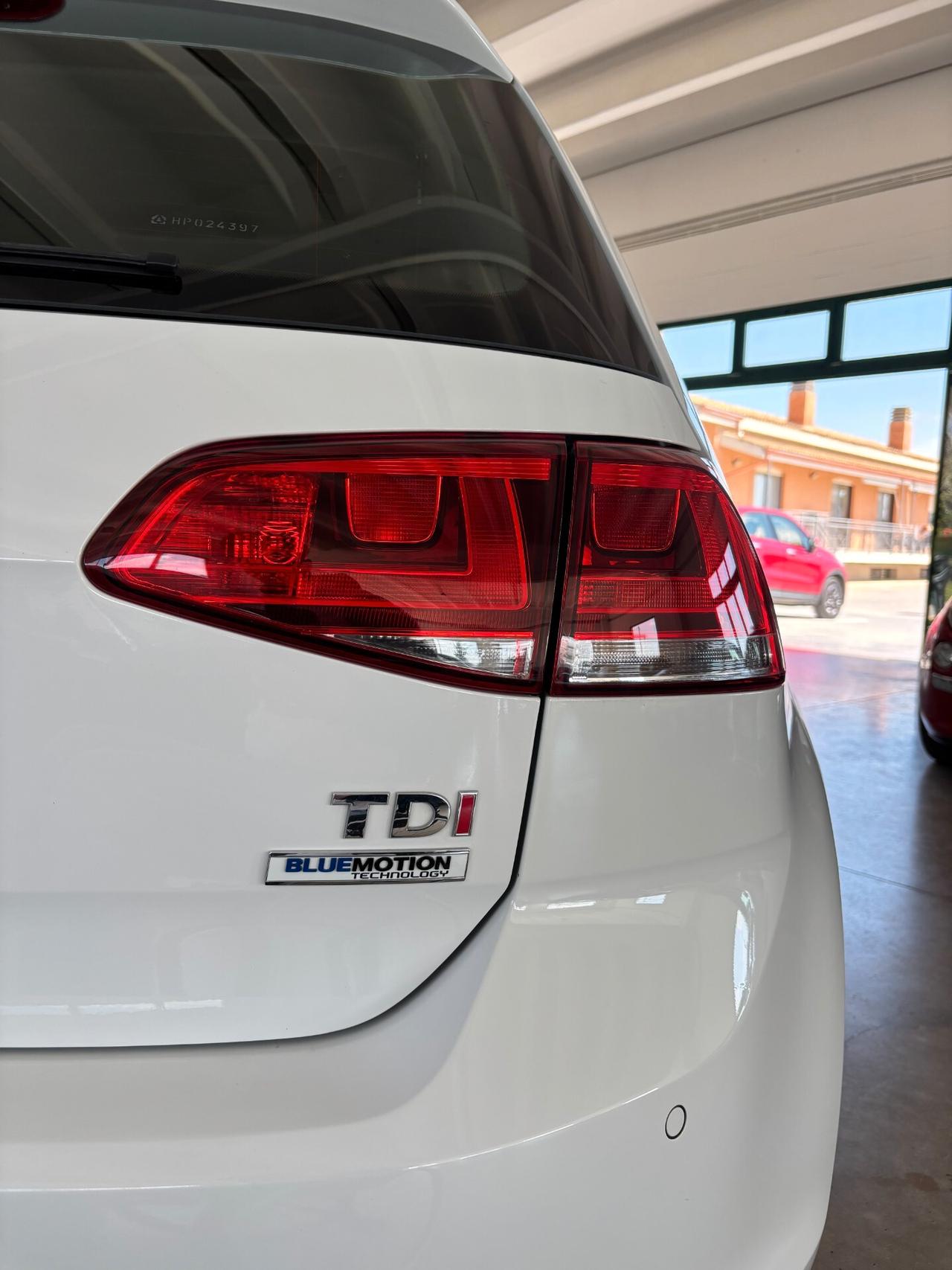 Volkswagen Golf 1.6 TDI 110 CV 5p. Highline BlueMotion Technology