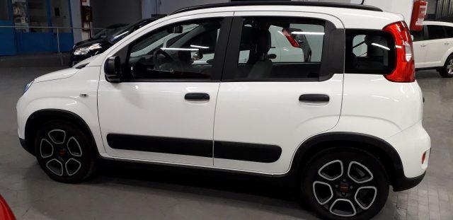 FIAT Panda 1.0 FireFly S&S Hybrid 70 CV CITY LIFE