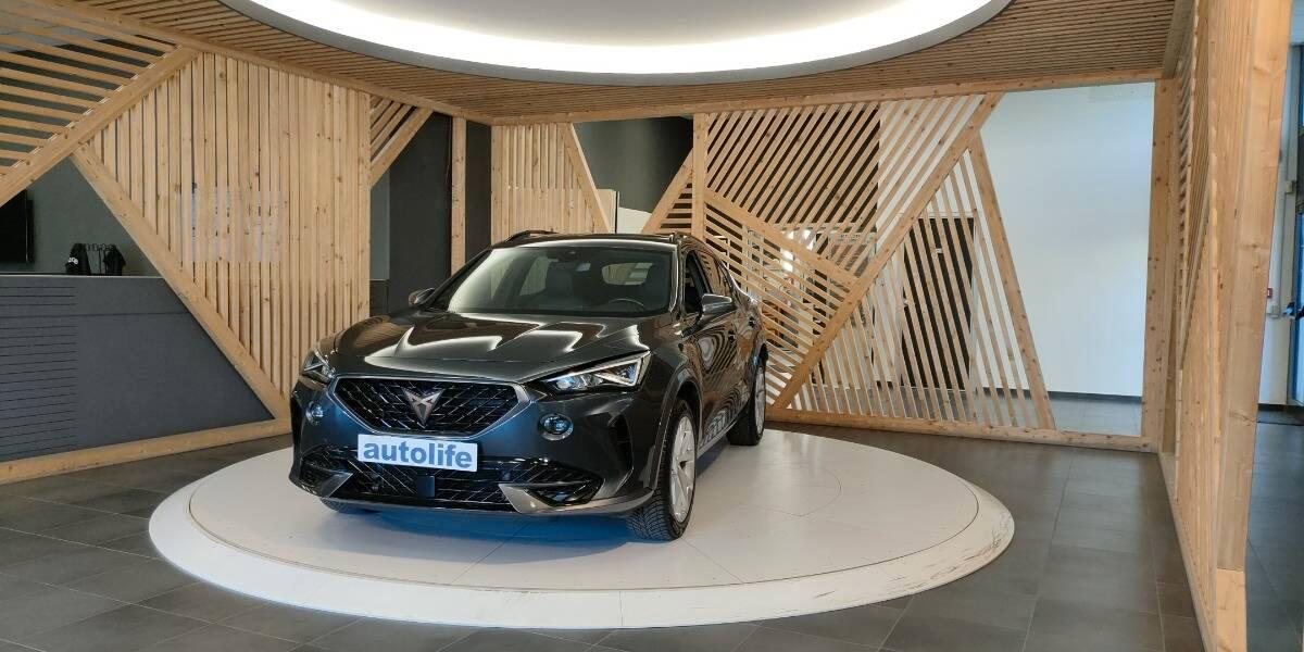Cupra formentor 2.0 tdi 4drive 150cv dsg