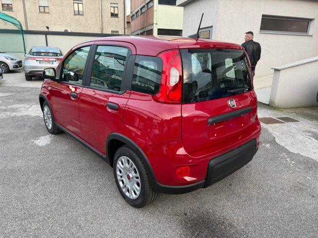 FIAT Panda 1.0 FireFly S&S Hybrid con Pack Comfort