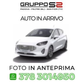 FORD Fiesta 1.0 Ecoboost Hybrid 125 CV 5 porte ST-Line