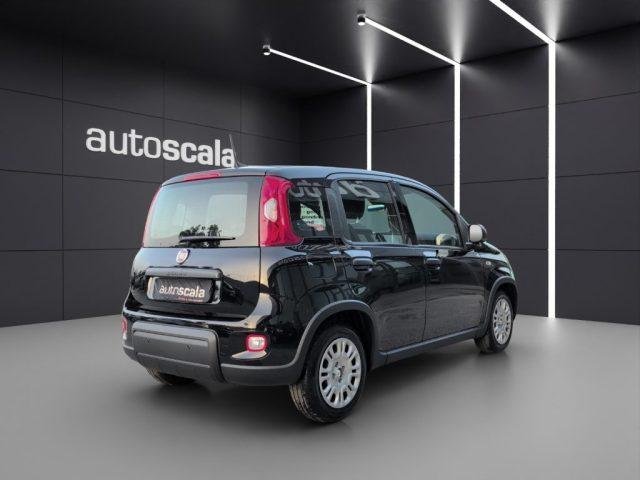 FIAT Panda 1.0 FireFly S&S Hybrid Pandina