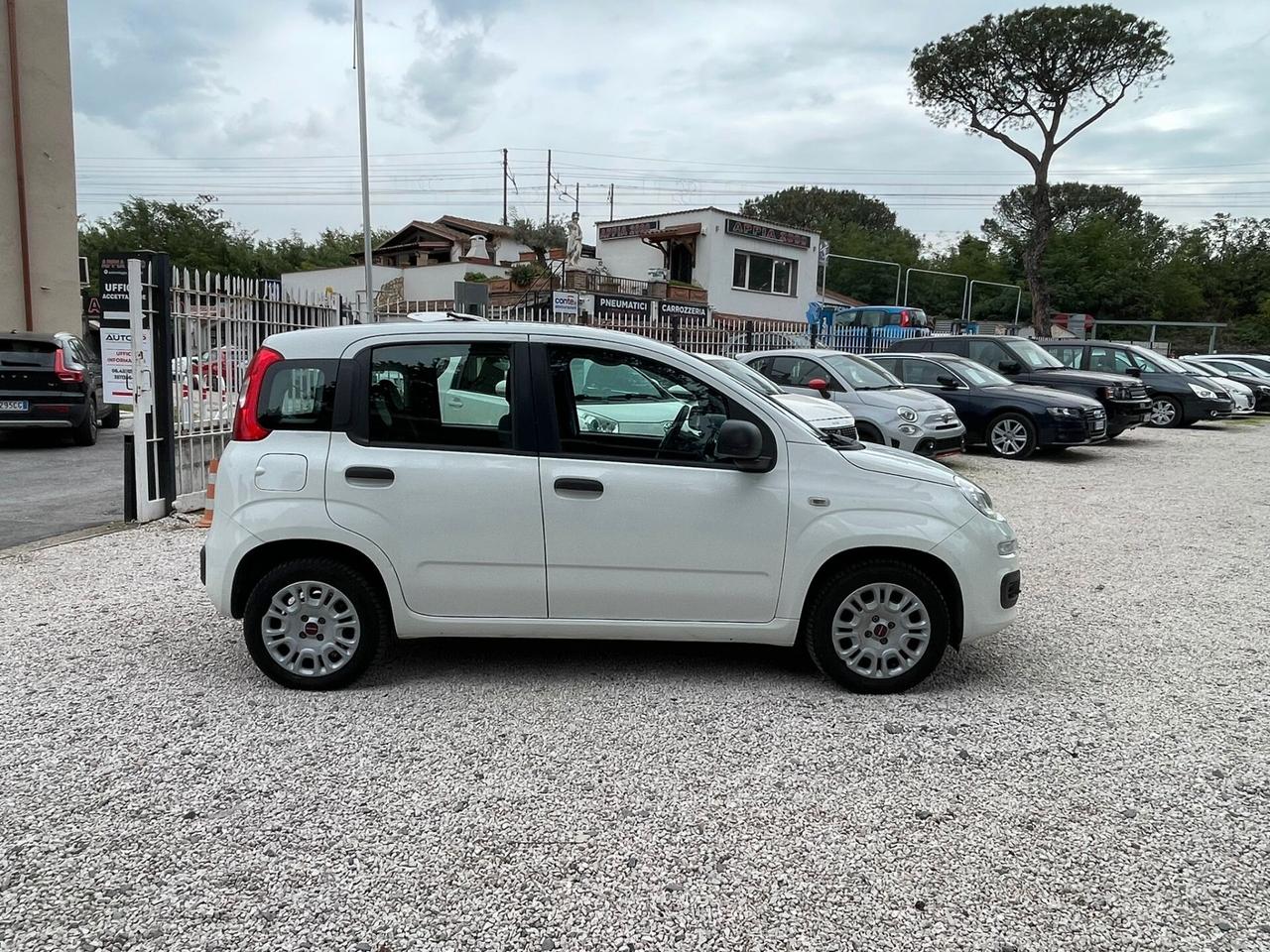 Fiat Panda 1.2 Easy, E6, 5 posti, NEOPATENTATI, KM REALI, PREZZO REALE