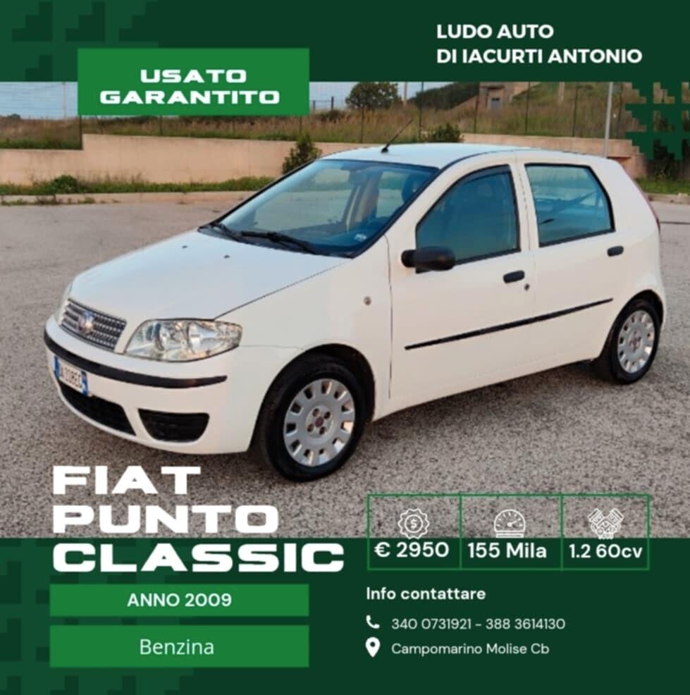 Fiat Punto Classic 1.2 5 porte Active