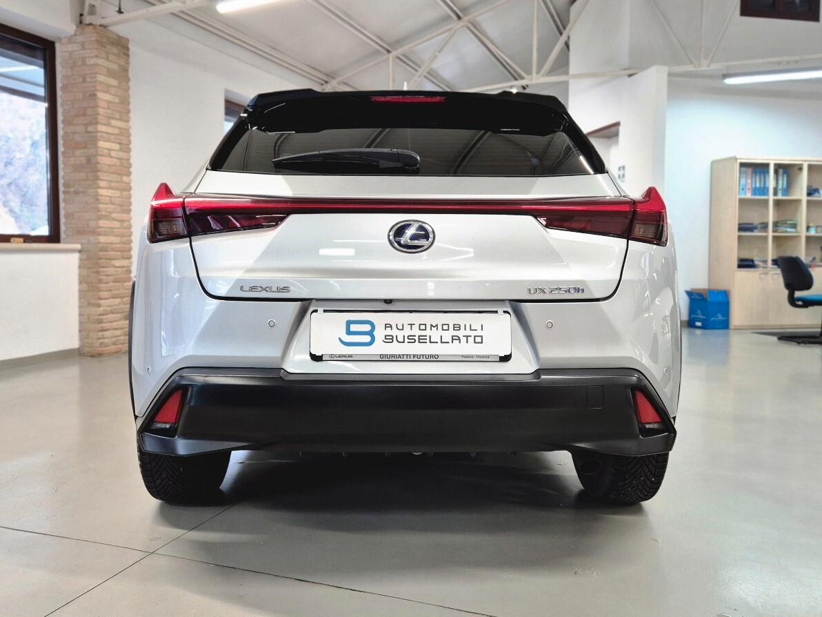 Lexus UX Hybrid Business