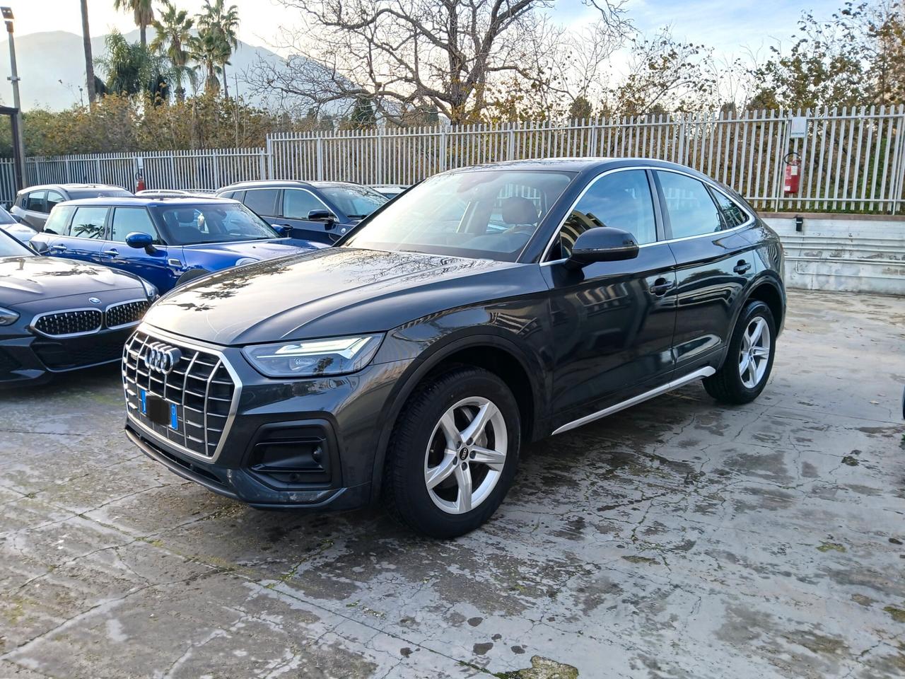Audi Q5 SPB 40 TDI quattro S tronic Business Advanced