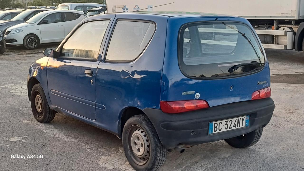 Fiat Seicento 900i cat Young
