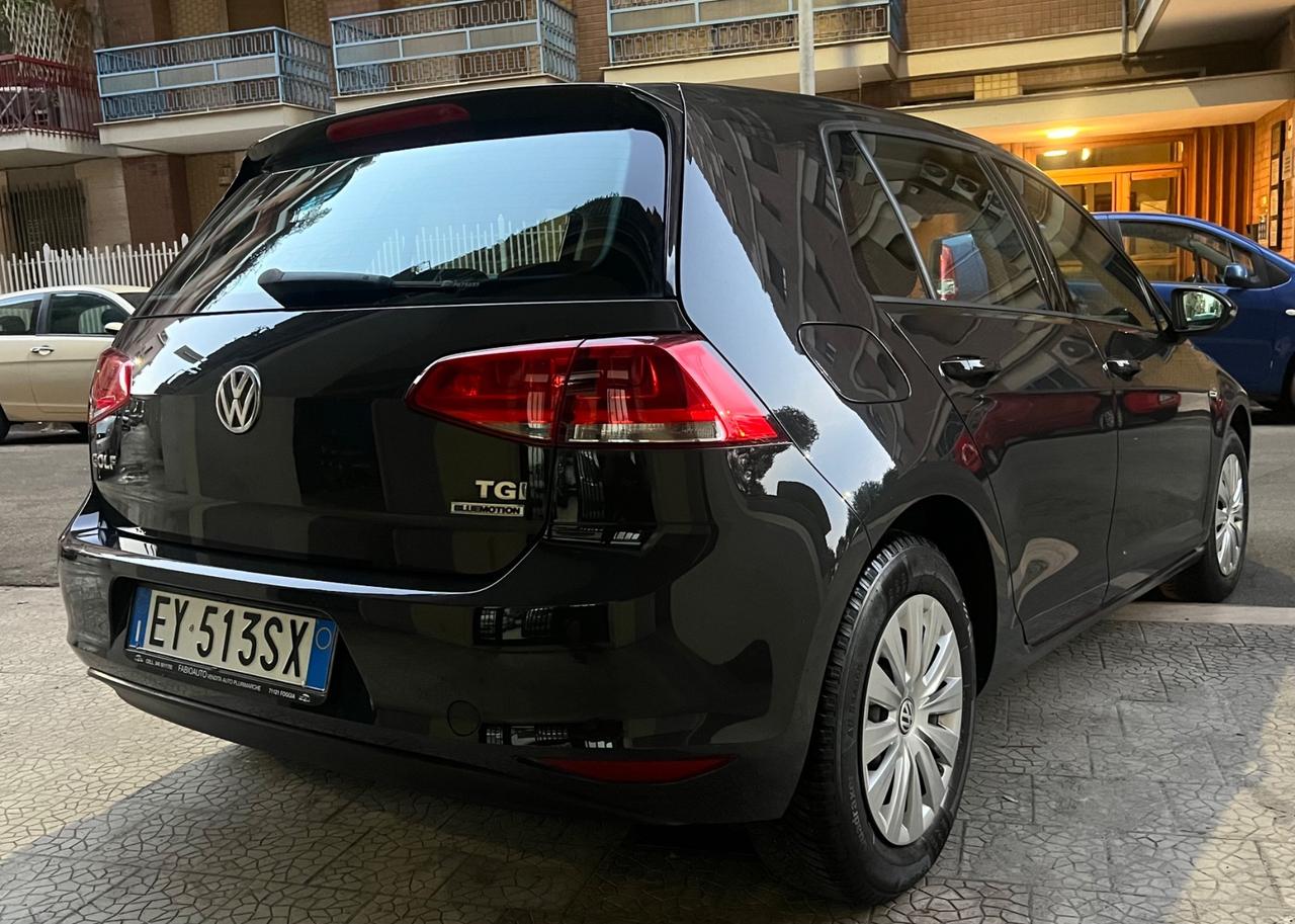 Volkswagen Golf 1.4 TGI 5p. Comfortline BlueMotion