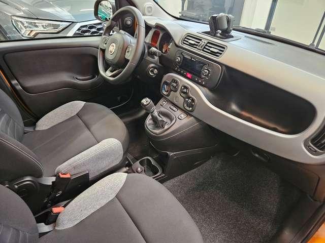 Fiat New Panda Panda 1.0 hybrid City Life 70cv