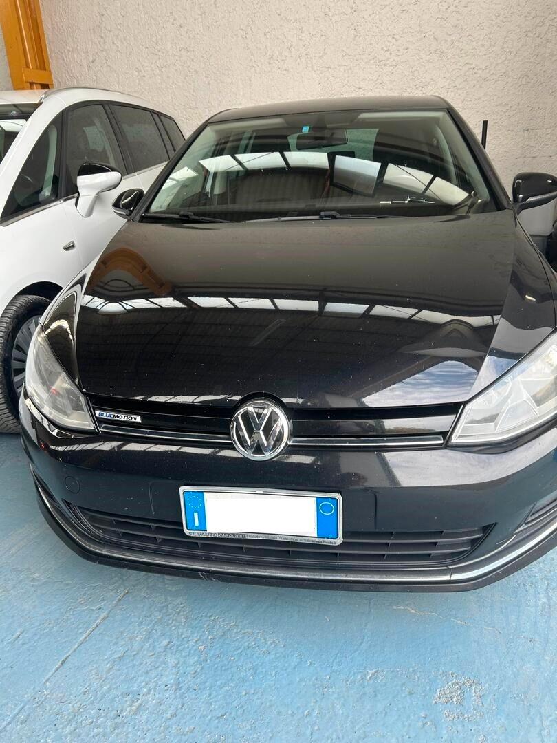 Volkswagen Golf Business 1.4 TGI 5p. Comfortline BlueMotion ok neo patentati