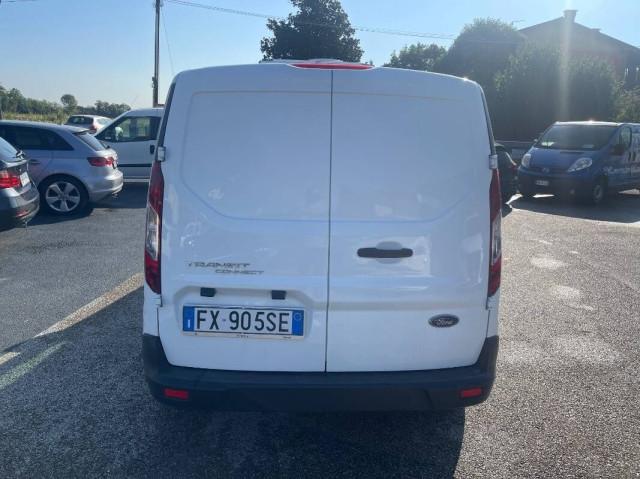 Ford TRANSIT 1.5 TDCI 120 CV CONNECT FRIGO ZANOTTI