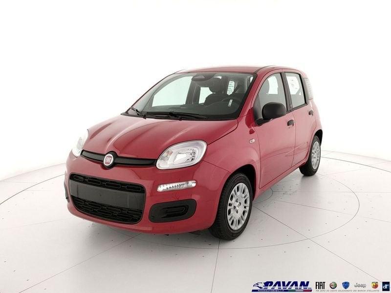 FIAT Pandina Panda 1.0 FireFly 65 CV Hybrid Pop