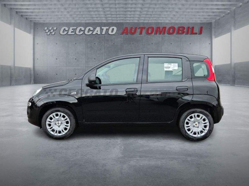 FIAT Panda Panda 1.0 firefly hybrid s&s 70cv
