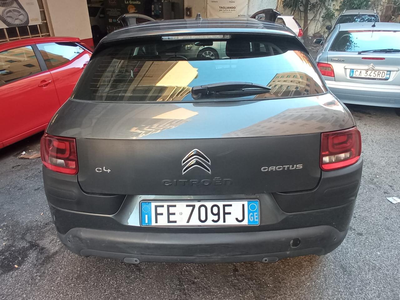 Citroen C4 Cactus BlueHDi 100 Shine