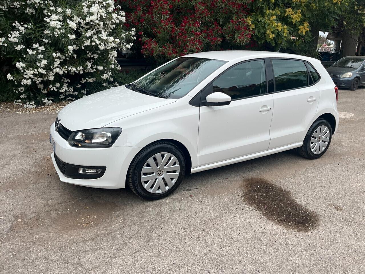 Volkswagen Polo 1.2 5 porte Trendline Perfetta