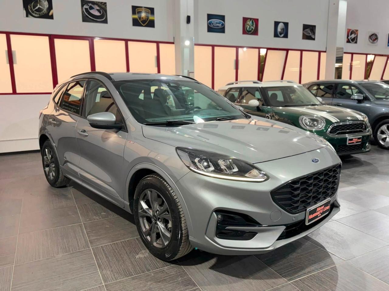 Ford Kuga 1.5 Ecoblue ST-Line 120cv Autom2022