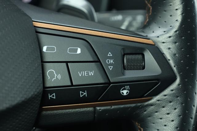 CUPRA Formentor 2.0 TDI 4Drive SEDILI SPORTIVI DSG AWD 4x4