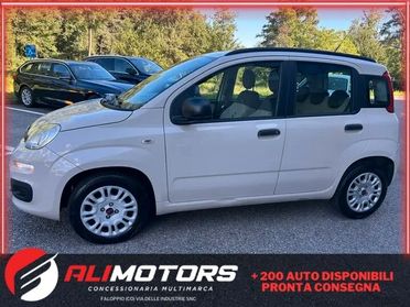 Fiat Panda 1.2 Lounge*Neo patentati *