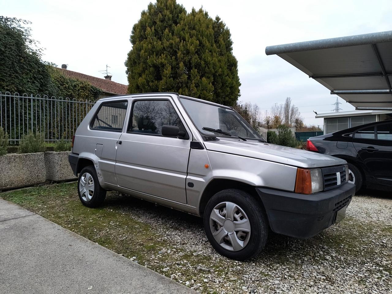 Fiat Panda 1100 i.e. cat Young