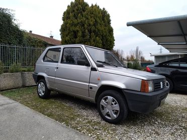 Fiat Panda 1100 i.e. cat Young