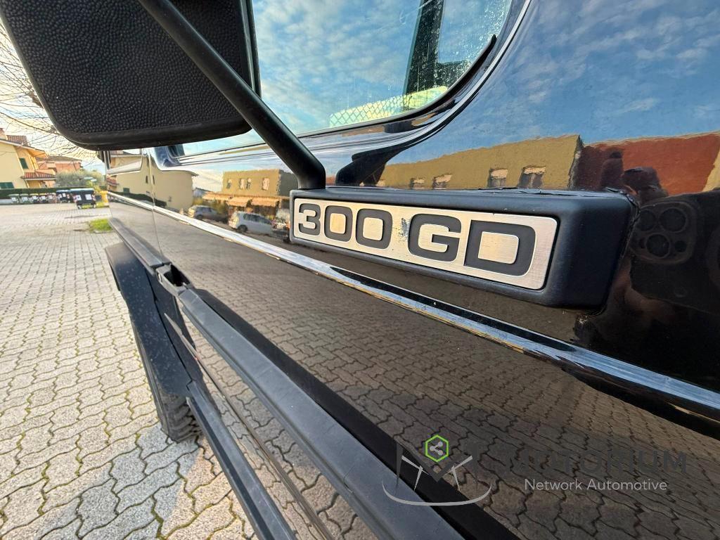 Mercedes-Benz G G300 AUTOCARRO N1