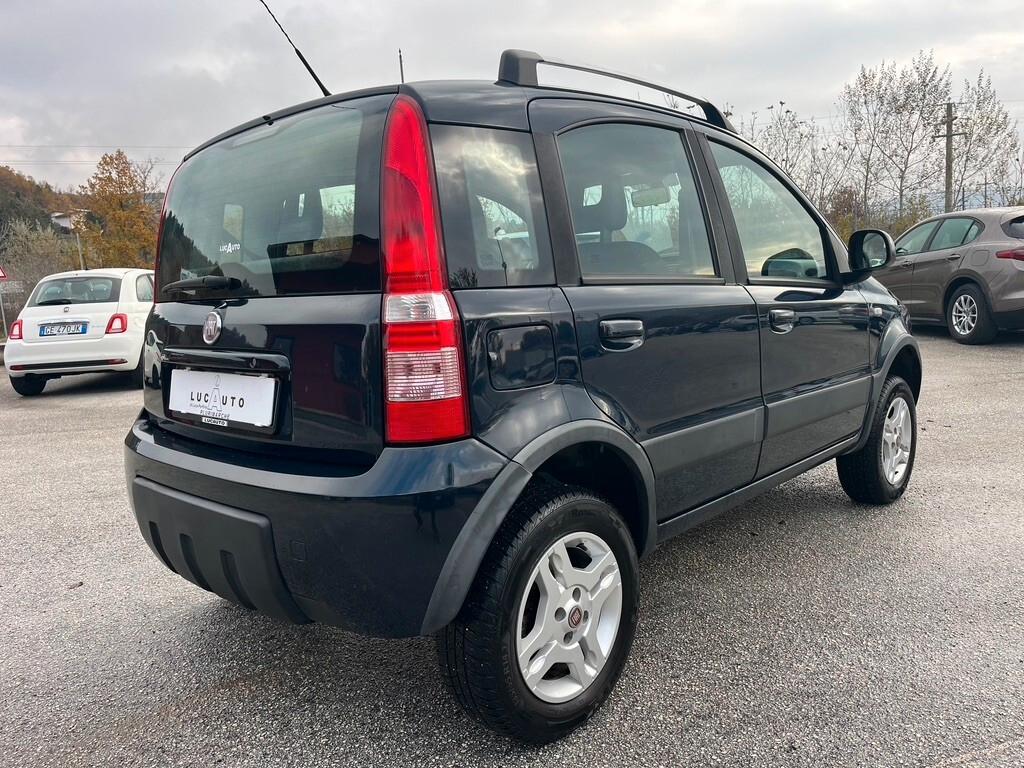 Fiat Panda 1.3 MJT 16V DPF 4x4 Climbing