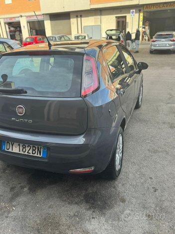 Fiat punto benz/matano