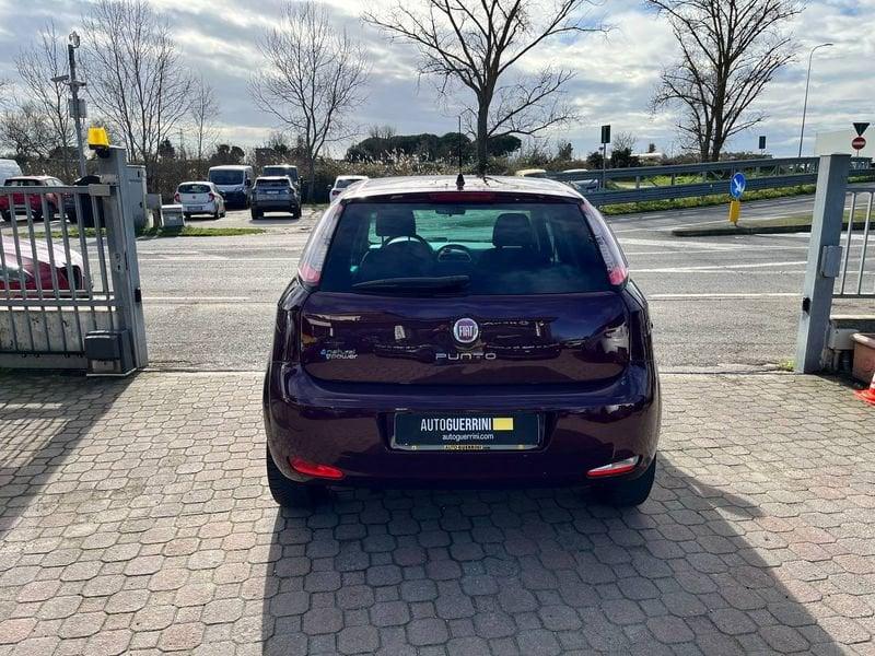 FIAT Punto Punto 1.4 8V 5 porte Natural Power Easy