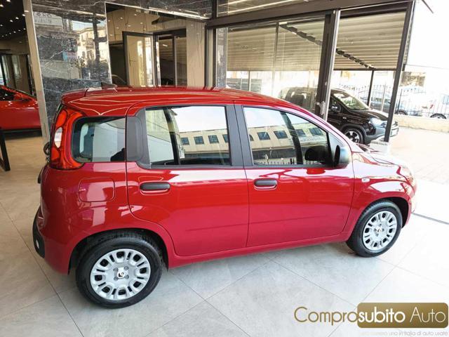 FIAT Panda 1.0 FireFly S&S Hybrid Icon km0