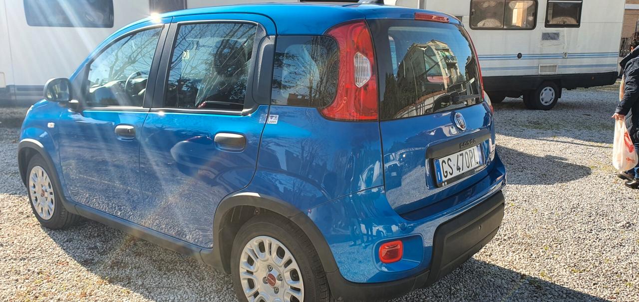 Fiat Panda 1.0 FireFly S&S Hybrid