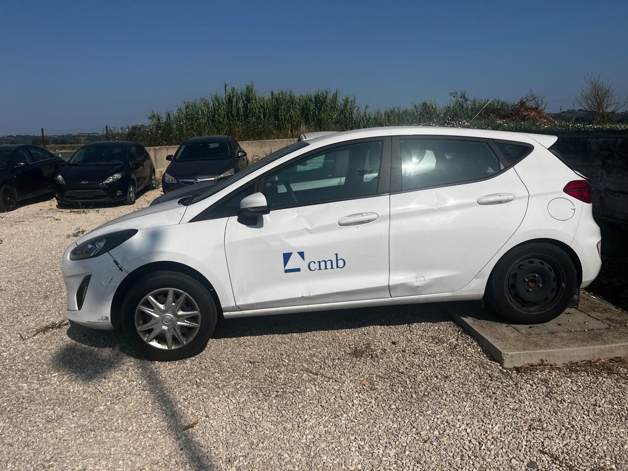 Ford Fiesta 1.0 Ecoboost 100 CV 5 porte Business