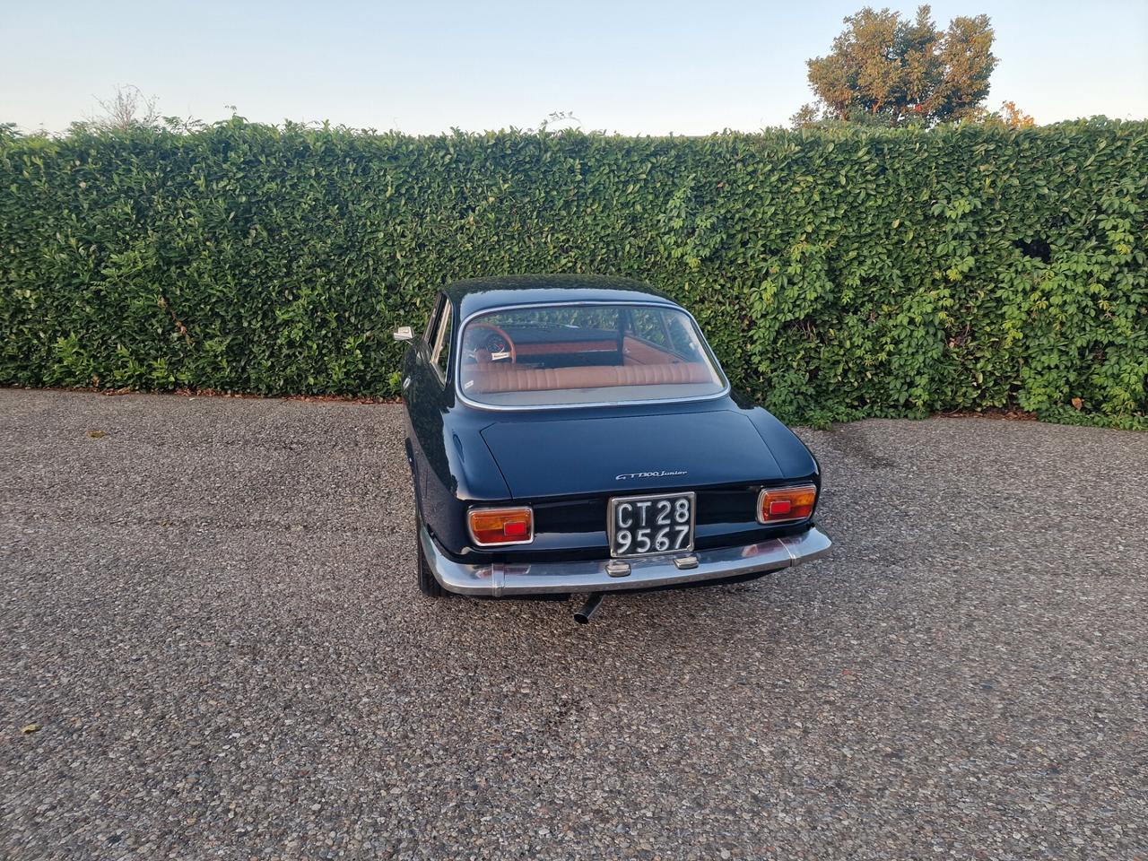 Alfa Romeo Gt Junior 1300
