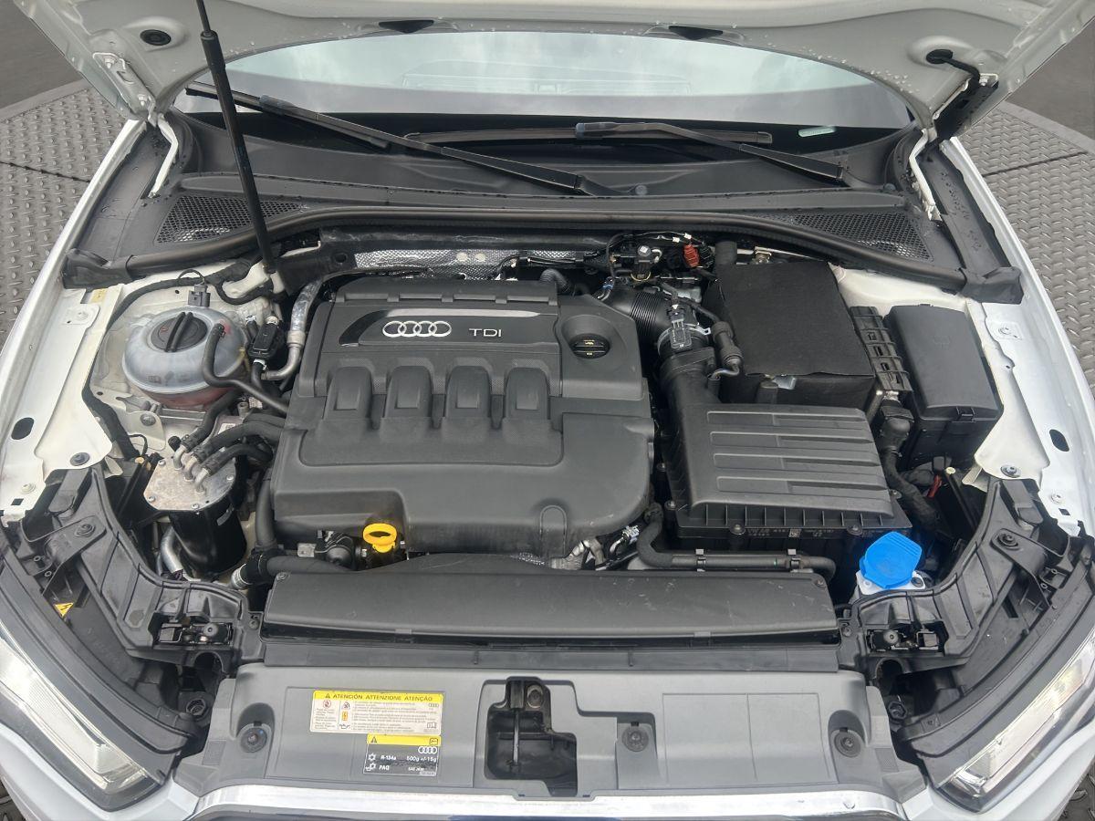 AUDI - A3 - 1.6 TDI 110CV S tronic Sport