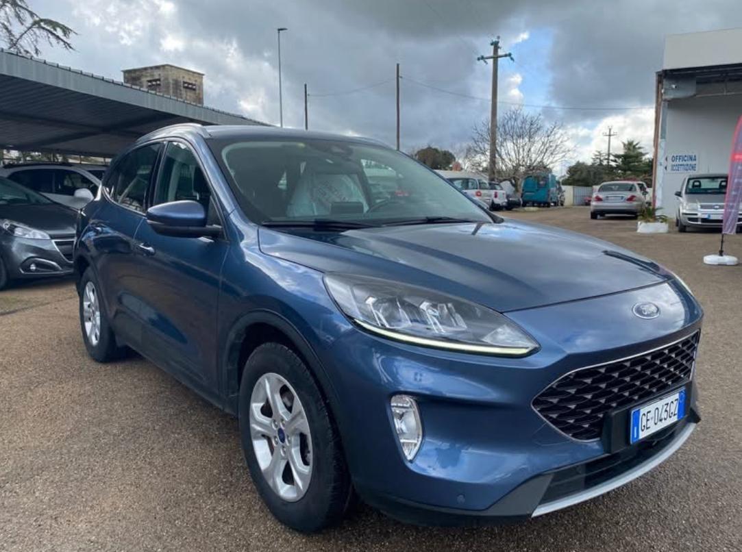 Ford Kuga 1.5 EcoBlue 120 CV 2WD Connect