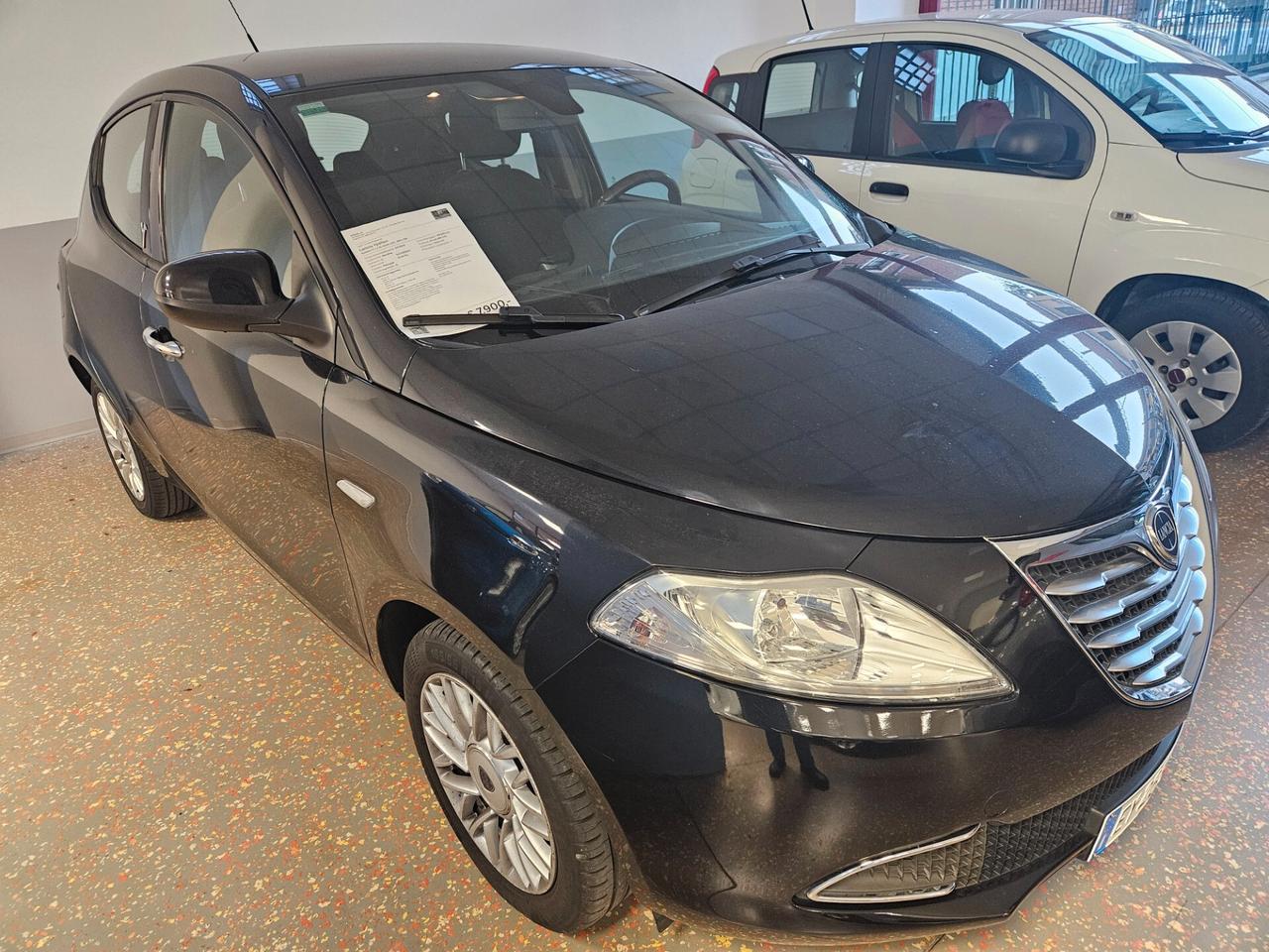 Lancia Ypsilon 1.2 69 CV 5 porte Gold