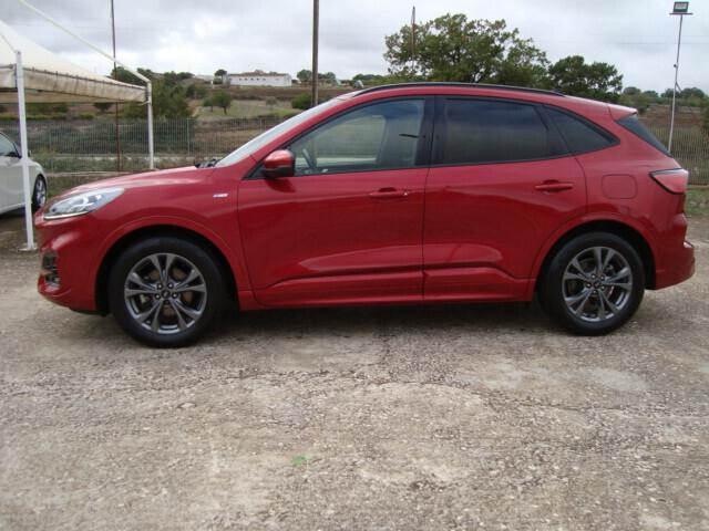 Ford Kuga 1.5 EcoBlue 120 CV 2WD ST-Line 2021